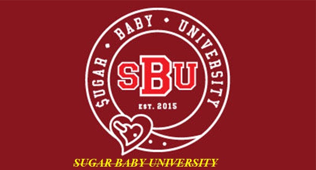 Sugar Baby University